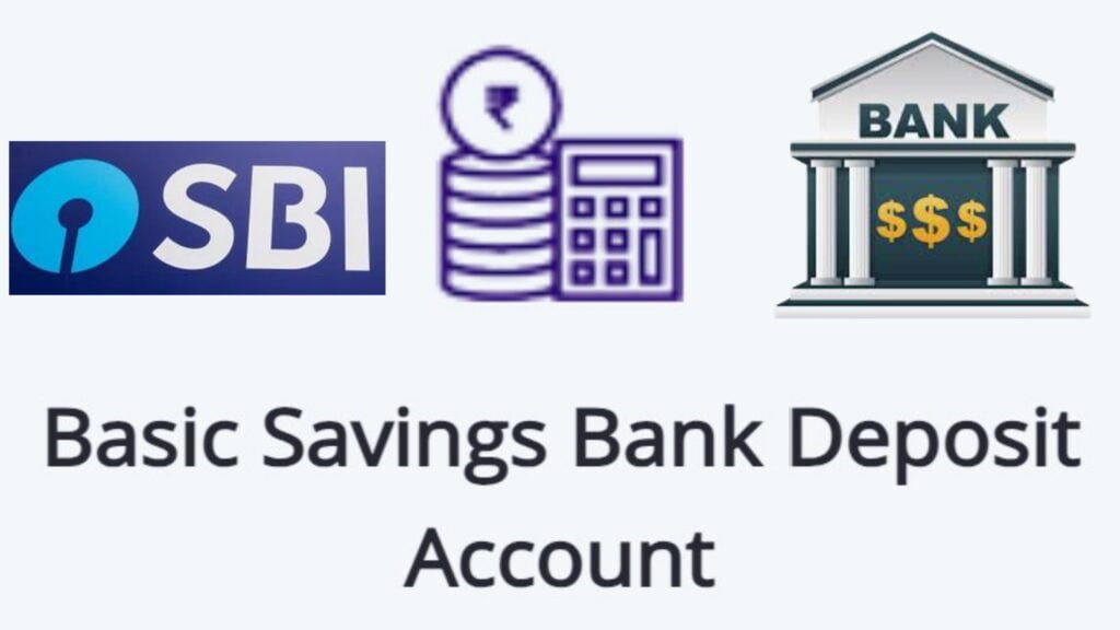 basic saving deposit account in hindi 2024